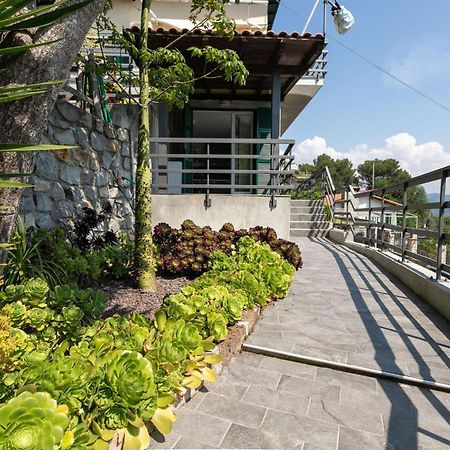 Strada Degli Olandesi - Panoramic Villa By Halldis Camporosso  Luaran gambar